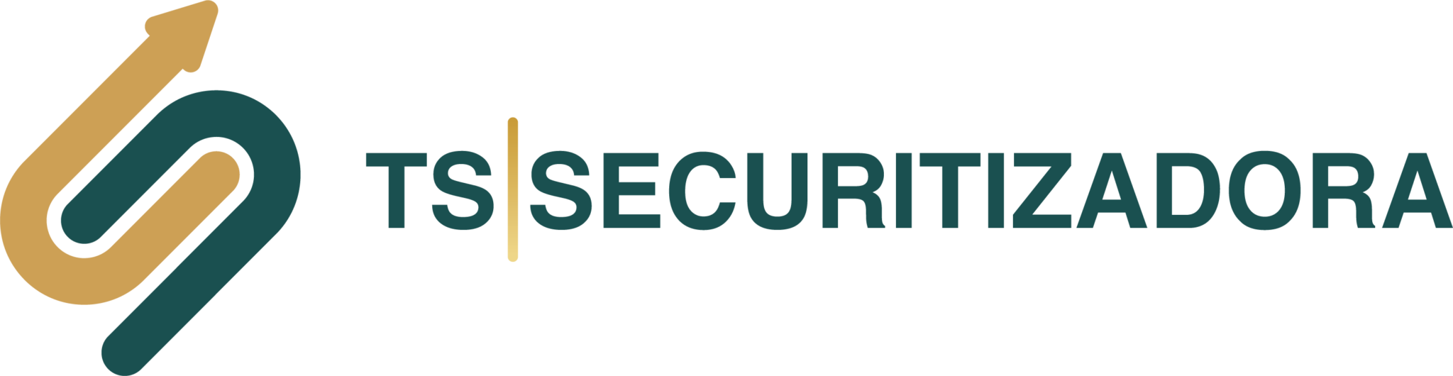Logo do cliente TS Securitizadora